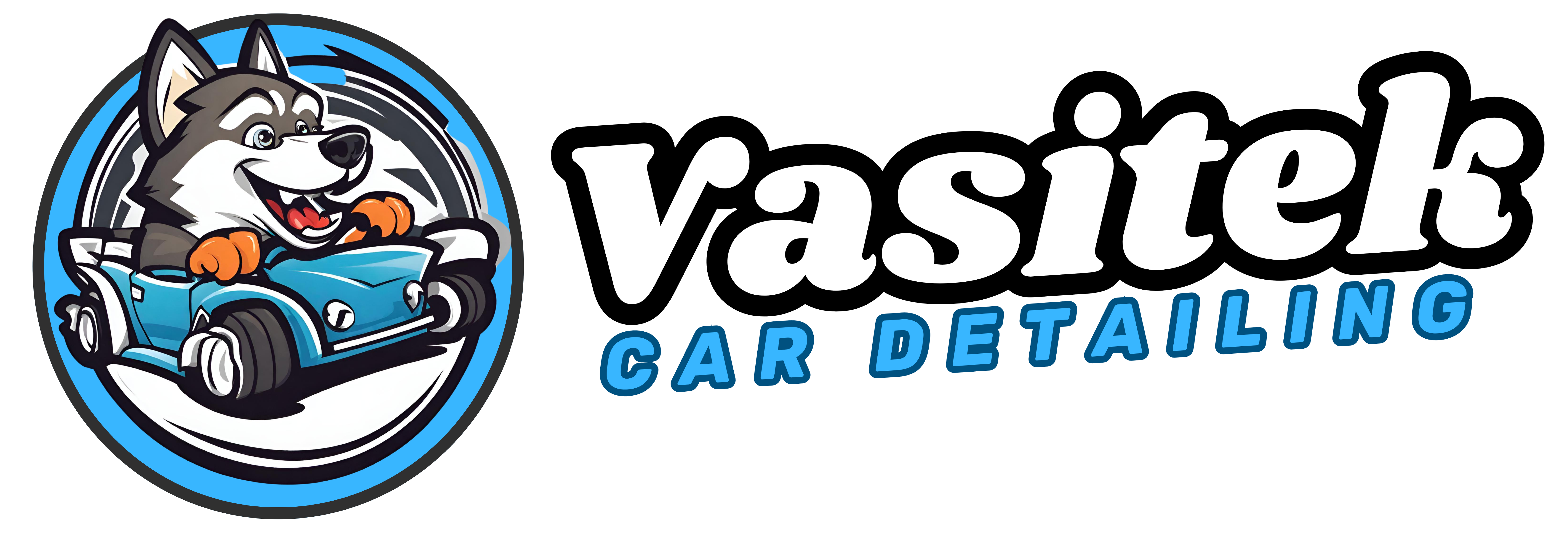 Car Detailing Vasitek